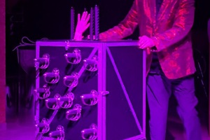 Sword Box Illusion Act Video Traben-Tarbach Mosel